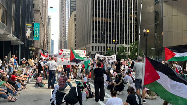 11 pro-Palestinian protesters arrested for blocking downtown street: police