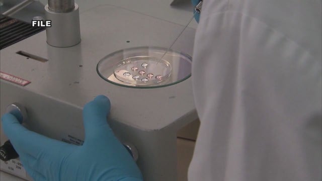 Duckworth introduces bill to protect and expand access to IVF treatments