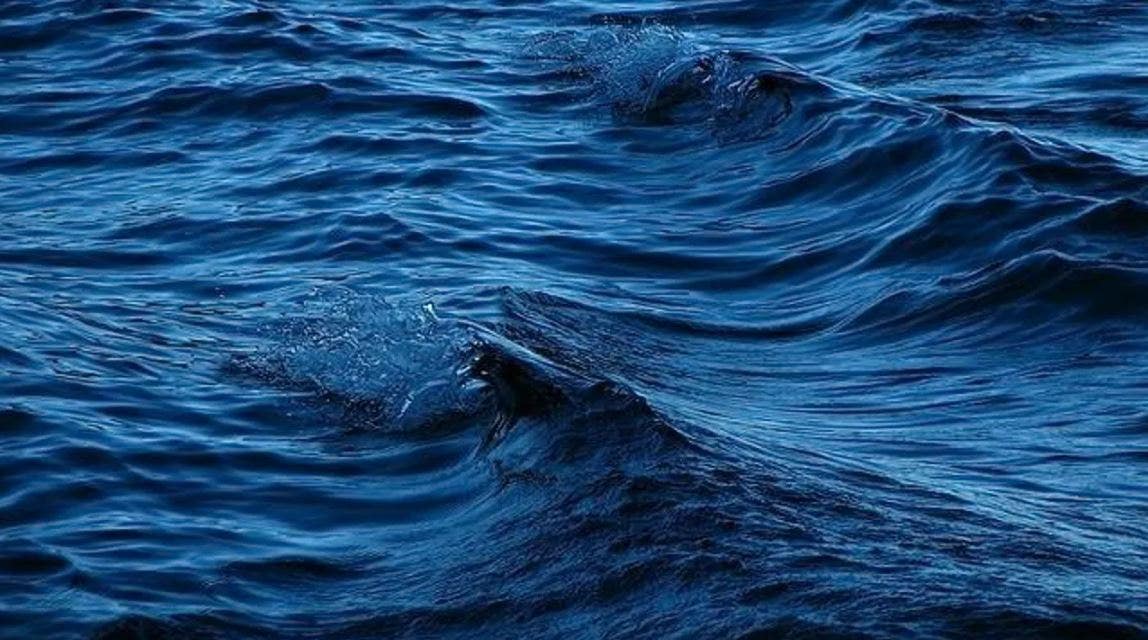 Woman rescued from water near DuSable Harbor, police say