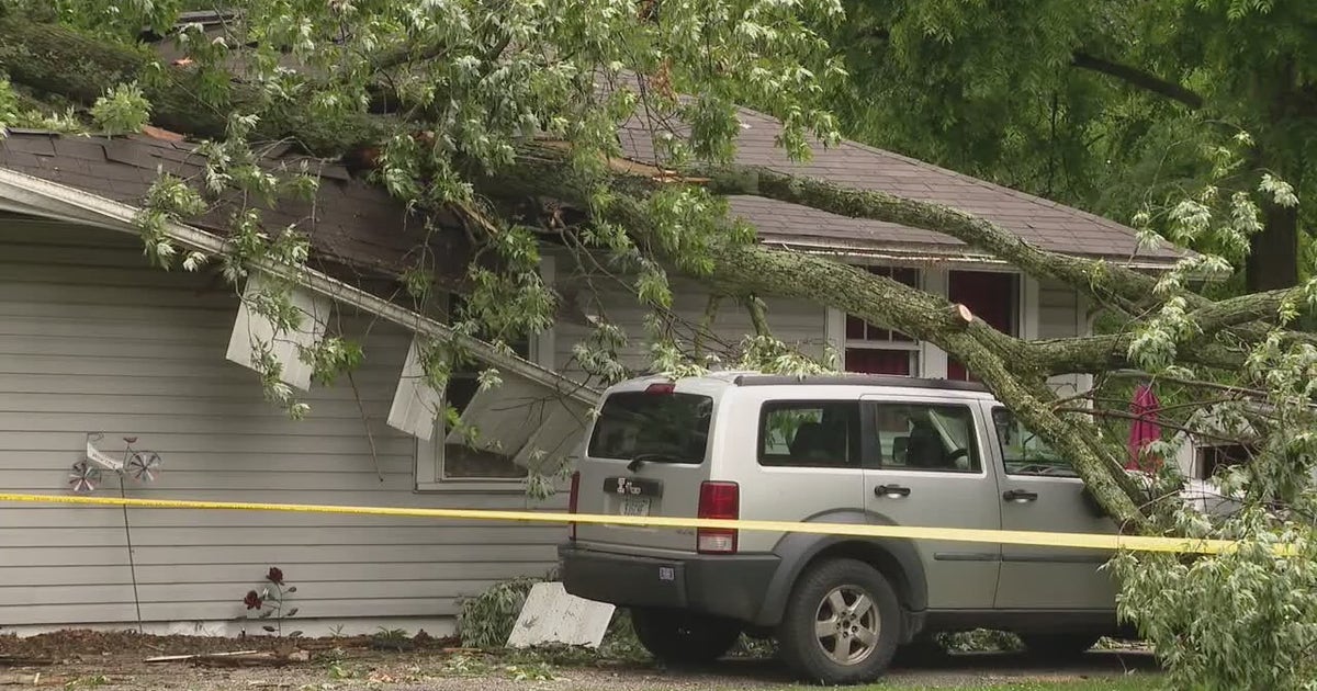 Laura Nagel: Indiana woman killed when tree fell on her home during ...