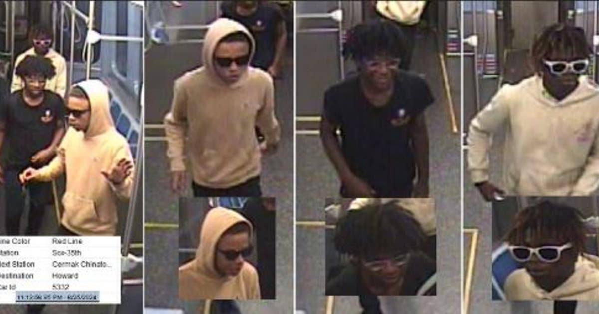 Chicago police seek suspect in armed robbery near CTA Red Line Sox-35th ...