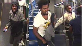 Police search for group of suspects involved in CTA armed robbery