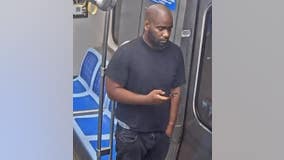 Police seek CTA Blue Line thief