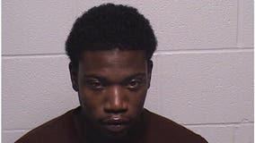 Lake County man charged with beating pregnant girlfriend, fleeing police