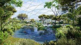 Photos: Brookfield Zoo Chicago unveils plan to transform over 100 acres for wildlife, visitors