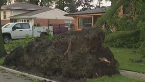 Cook County issues disaster proclamation after record number of tornadoes in July, more than $5M in damages