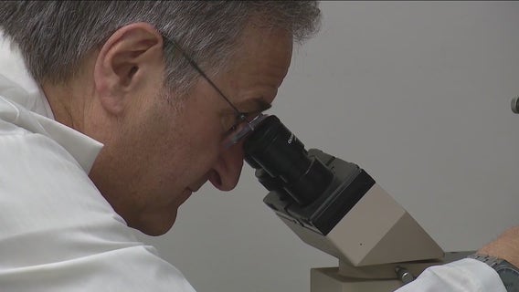 Chicago scientists discover new antibiotic that may defeat bacterial resistance