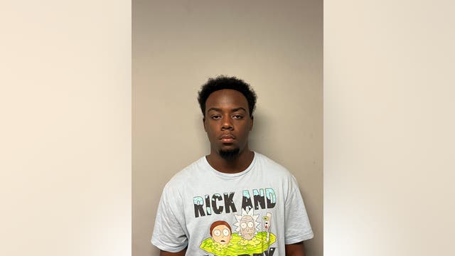 Suburban man charged after girl, 15, killed by stray bullet in Round Lake Beach