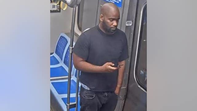 Police seek CTA Blue Line thief