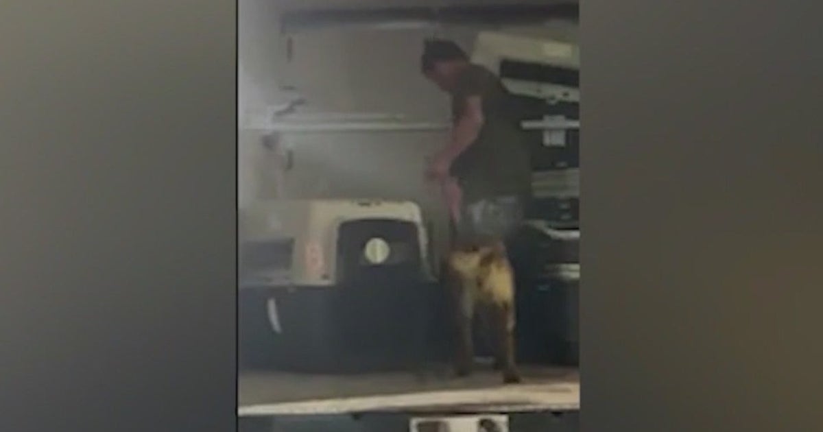 Indiana police file charges one year after multiple dogs died from heat ...