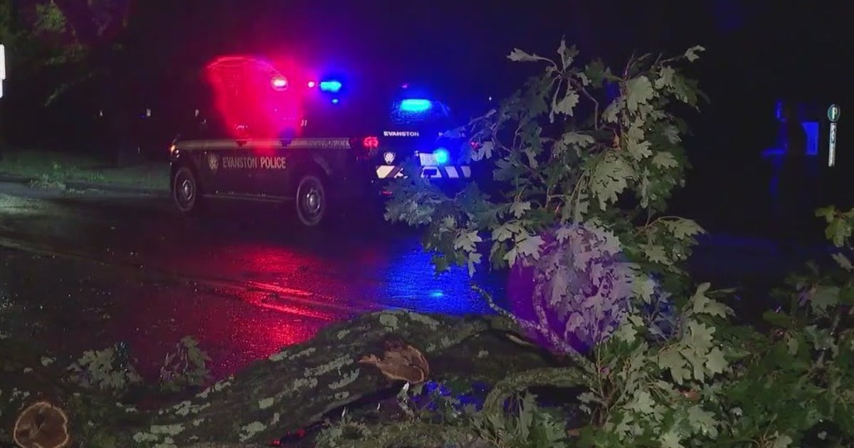 Overnight storms leave more than 20,000 in Chicago area without power ...
