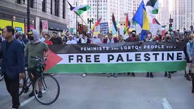 Protesters rally in downtown Chicago ahead of Democratic National Convention