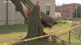 Evanston storm damage: Cleanup efforts underway