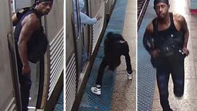 Man wanted for robbing elderly woman on Red Line train in the Loop: police