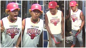 Police seek man who attacked Red Line rider with pair of pliers