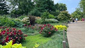 Lincoln Park Zoo recognized as botanic garden