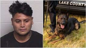 K9 tracks down Wauconda man in forest preserve after DUI crash