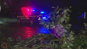 Overnight storms leave more than 20,000 in Chicago area without power