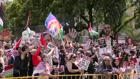 Chicago DNC 2024: Protesters march on first day of convention