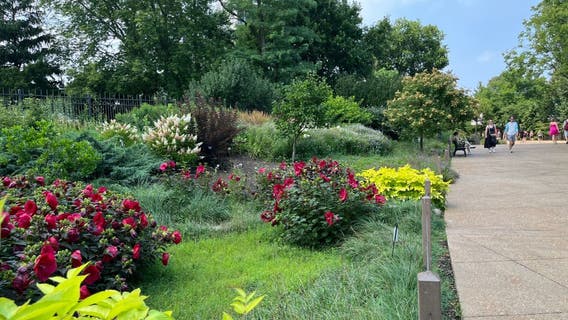 Lincoln Park Zoo recognized as botanic garden