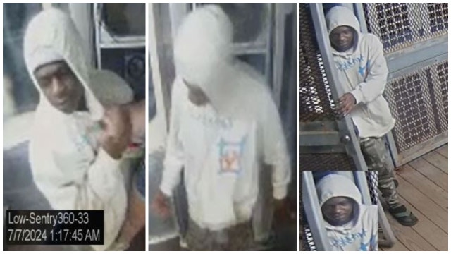 Police seek Brown Line sex assault suspect