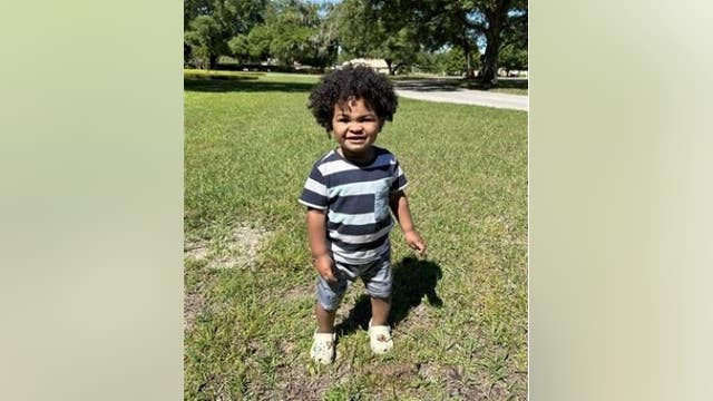 Boy, 2, missing since April reunited with mother