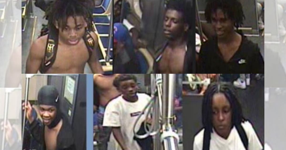 Chicago police seek suspects in Green Line robbery | FOX 32 Chicago