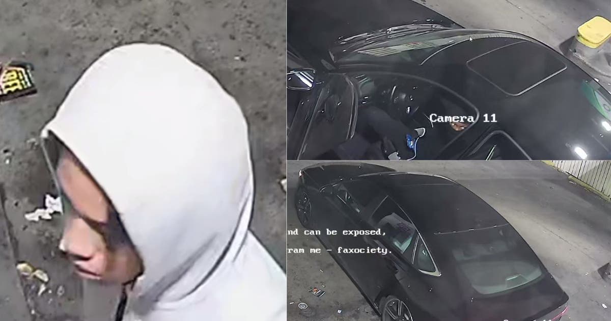 Chicago police seek suspects in South Side robbery, attempted ...