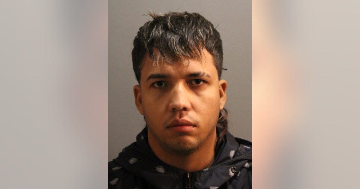 Cook County man charged in fatal Englewood shooting | FOX 32 Chicago