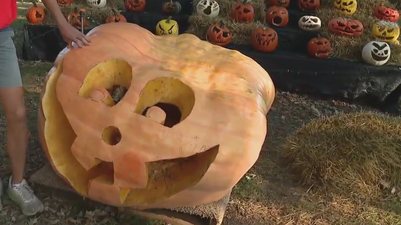 Pumpkin Pete brings family-inspired ‘Jack O’Lantern World’ to life at Paulus Park