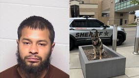 Domestic battery suspect arrested with help of K9 unit after hiding under bed