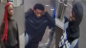 Chicago police seek suspects in violent CTA Red Line robbery