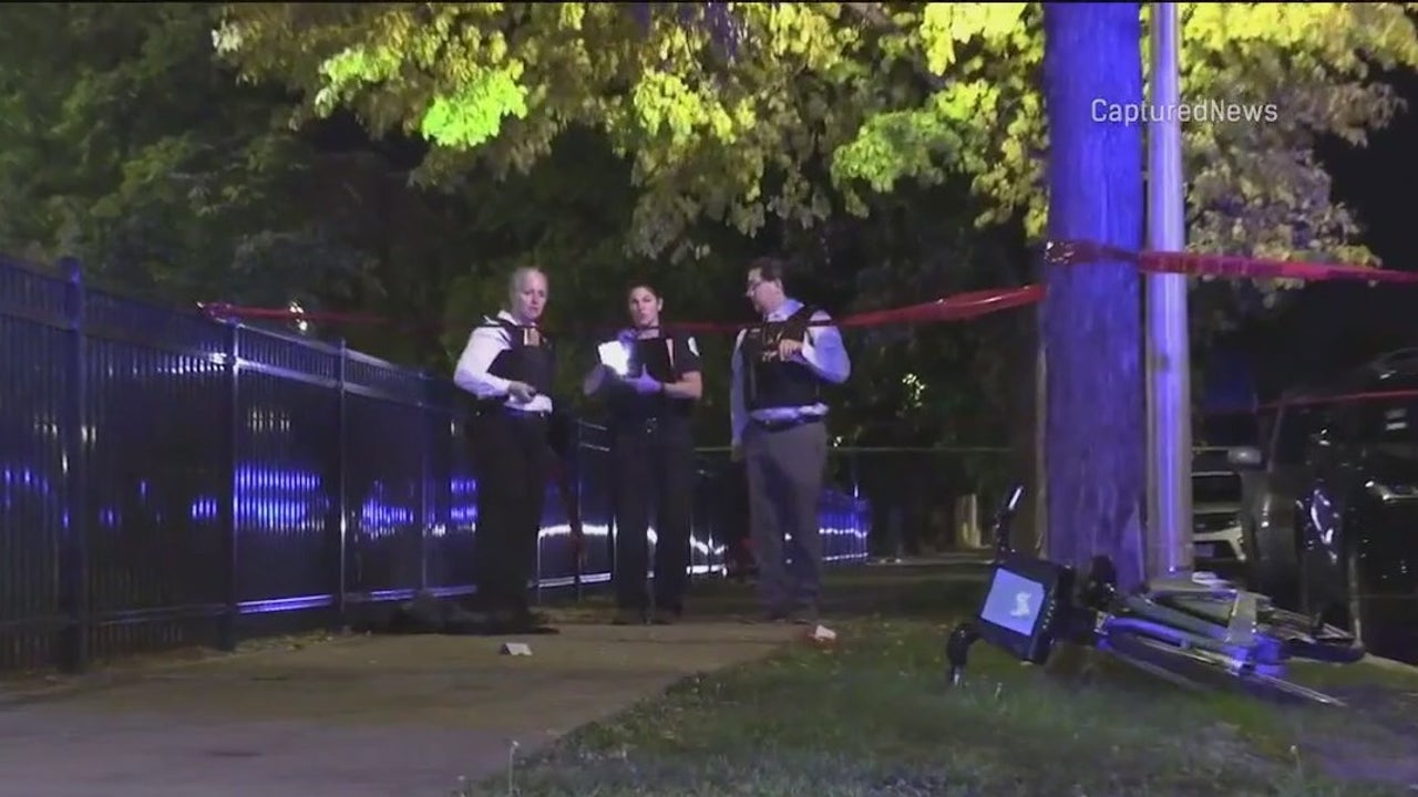 Teen Killed in Shooting Near United Center