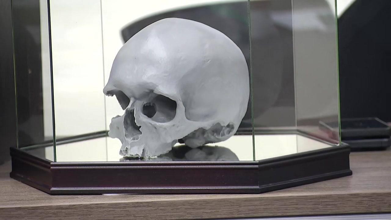 DNA Identifies Batavia Skull as Esther Granger