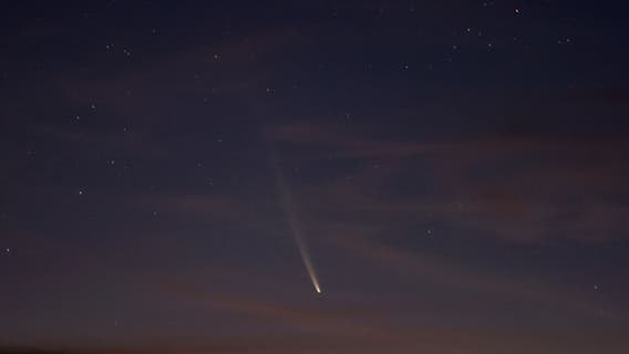 A rare comet brightens the night skies in October