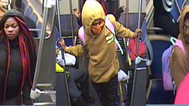 Chicago police seek suspects after CTA passenger maced in attempted robbery