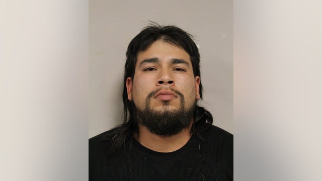 Cook County man allegedly punched, spat on two police officers during arrest