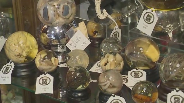 Arlington Heights Antiques: A new treasure trove for vintage enthusiasts in the northwest suburbs