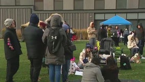 Illinois nurses begin strike at UI Hospital, citing safety and pay concerns