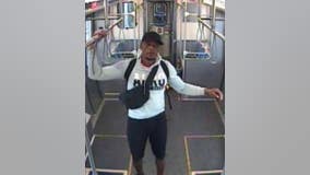 Man wanted for punching and kicking victim in head on CTA train: police