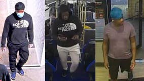 Navy Pier shooting: Person of interest in custody after Chicago police release surveillance images