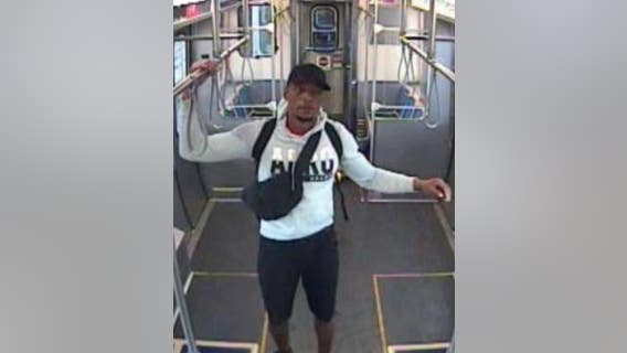 Man wanted for punching and kicking victim in head on CTA train: police