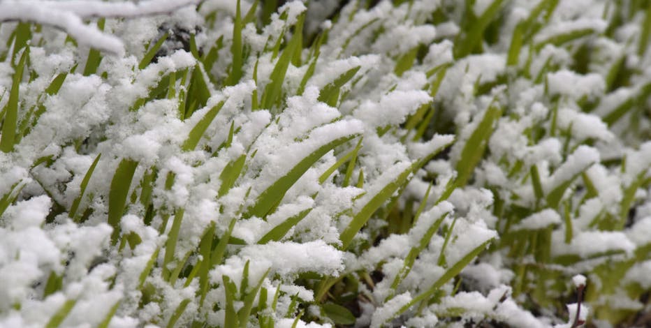 When is it going to snow in Chicago? Likely this week
