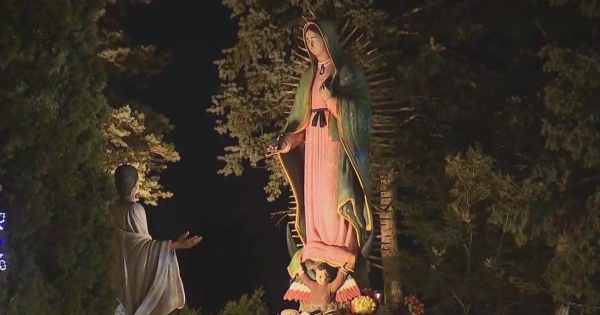 Thousands gather in Des Plaines for annual Feast of Our Lady of ...