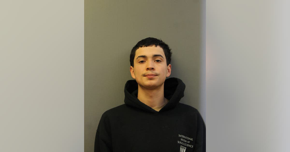 Chicago man, 21, arrested after 4 people robbed at gunpoint on ...