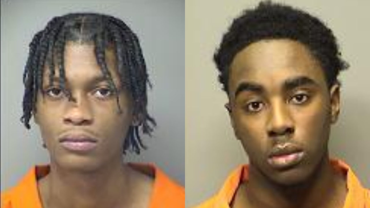 mugshots-williams-marega.jpg?