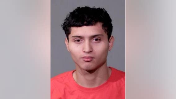 Joliet teen stole woman’s purse, shot flare gun at her son during chase, police say