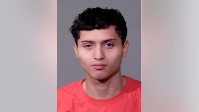 Joliet teen stole woman’s purse, shot flare gun at her son during chase, police say