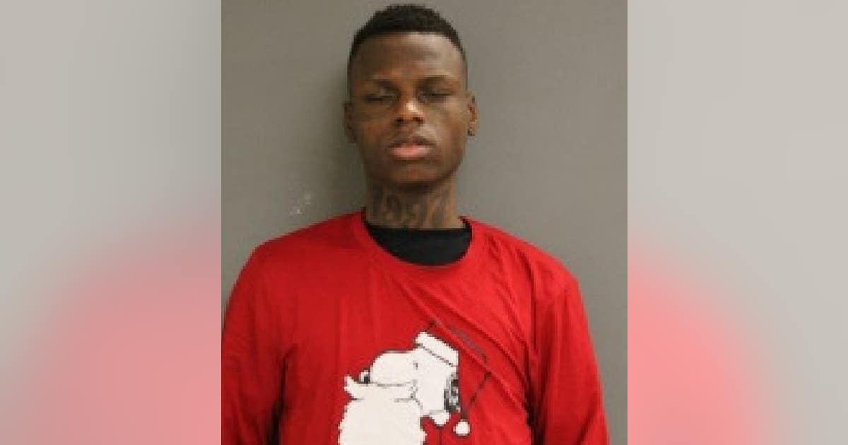 Pair charged in violent Red Line robbery | FOX 32 Chicago