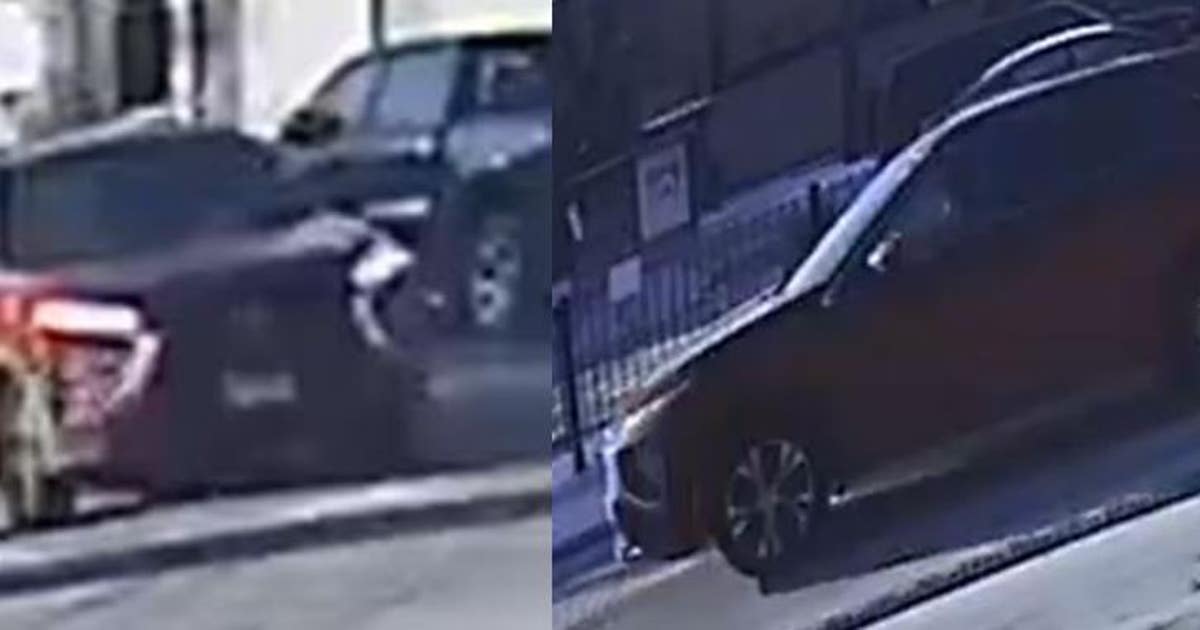 Chicago police search for driver who struck and killed 66-year-old ...